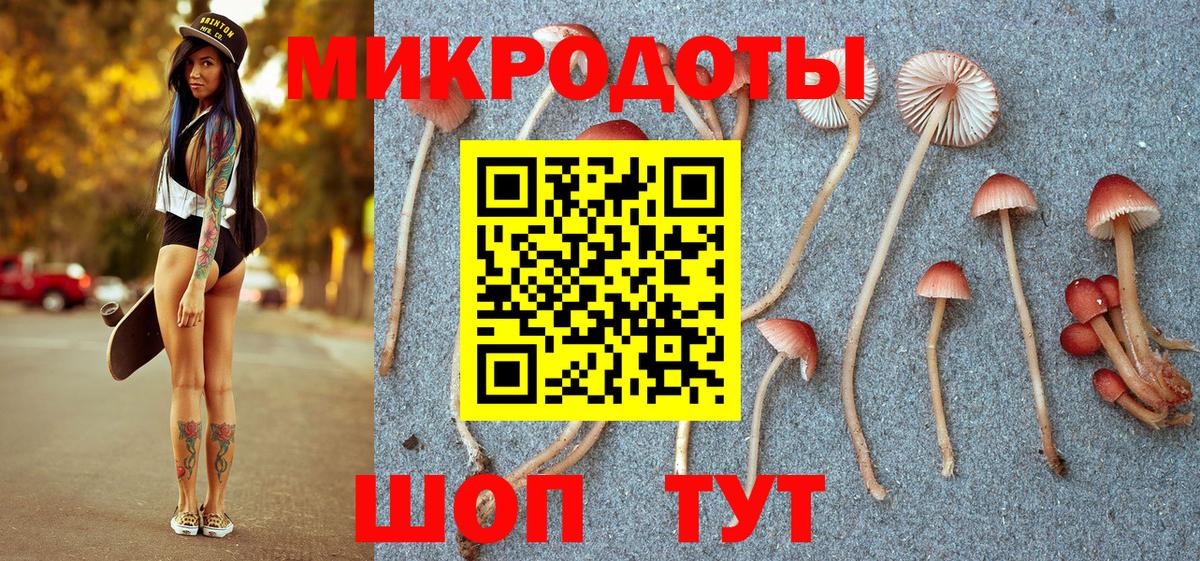 Галлюциногенные грибы Psilocybe Ирбит
